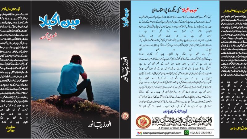 E-Book Main Akela By Anwar Zaib Anwar